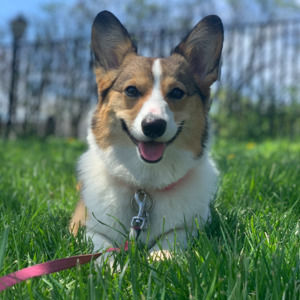 Meet your Posher, Megan